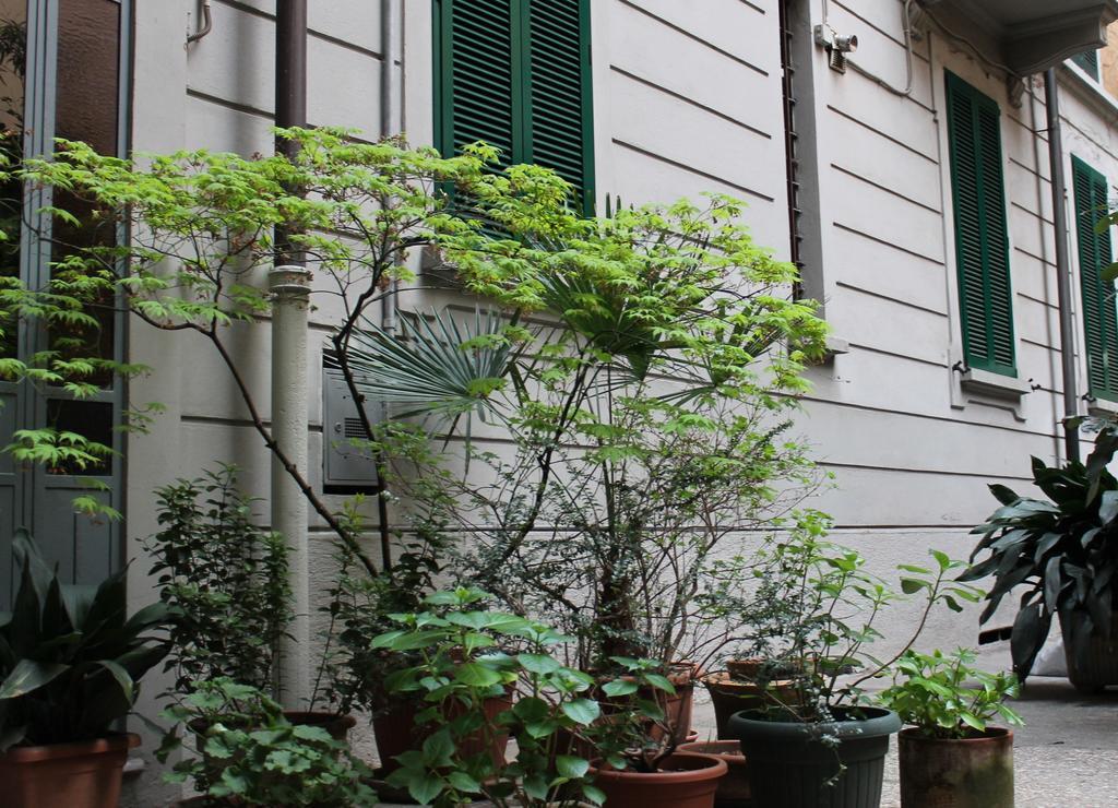 Lepetit Milano — Photos 1